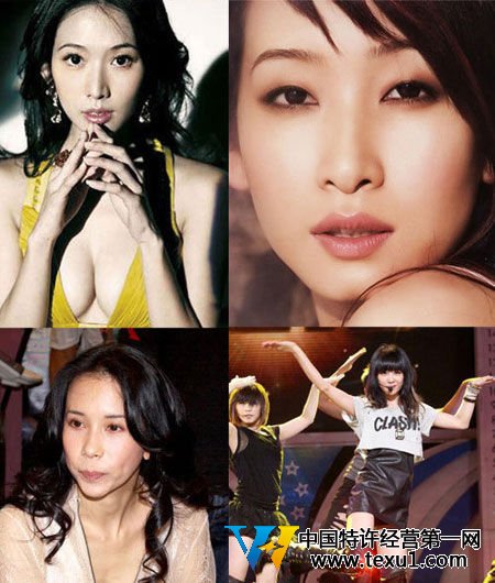 林志玲的胸大S的腿 揭秘女星身上最贵部位(图)
