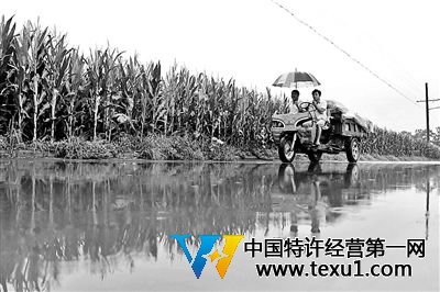 河南大旱领导下乡送水拍照录像后走人