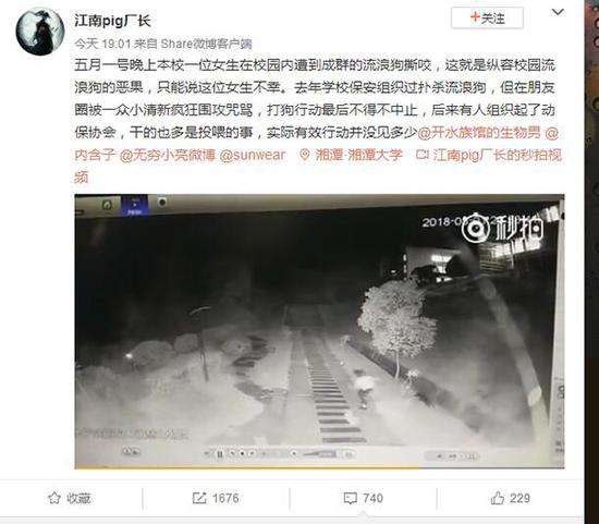 捡回一条命！女生遭流浪狗撕咬 被多只流浪狗围困场面太凶险
